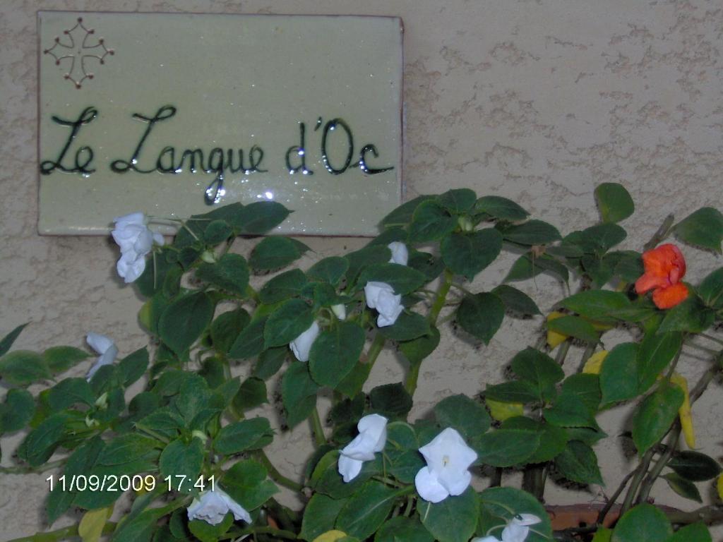 Hotel Le Langue D'Oc แอกด์ ภายนอก รูปภาพ